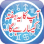 daily horoscope in urdu android application logo